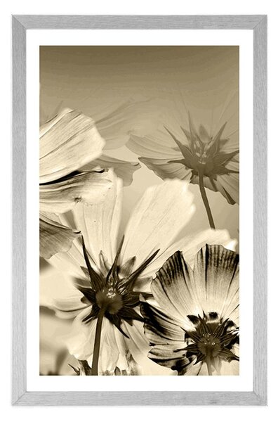 Poster cu passepartout flori de grădină în design sepia