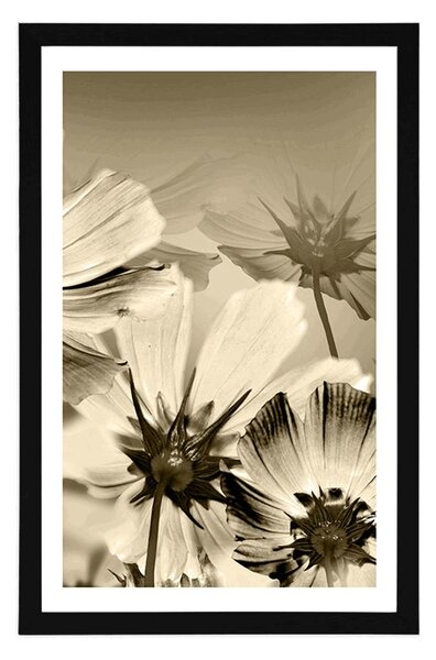 Poster cu passepartout flori de grădină în design sepia