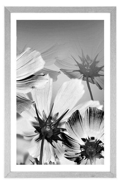 Poster cu passepartout flori de gradină în design alb-negru