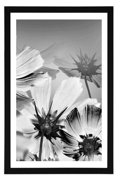 Poster cu passepartout flori de gradină în design alb-negru