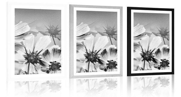Poster cu passepartout flori de gradină în design alb-negru