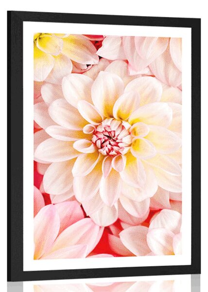 Poster cu passepartout flori de dalia pastelate