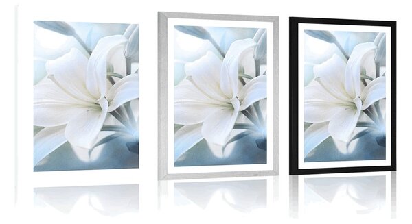 Poster cu passepartout floare de crin alb pe fundal abstract