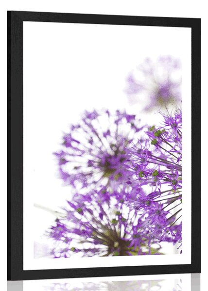 Poster cu passepartout flori violete de usturoi înfloritoare