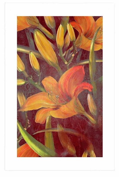 Poster cu passepartout înflorirea crinului portocaliu