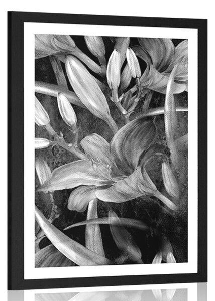 Poster cu passepartout înflorirea crinului în design alb-negru