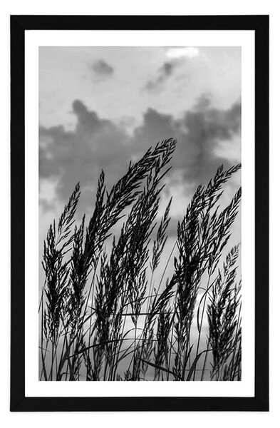 Poster cu passepartout iarbă în design alb-negru