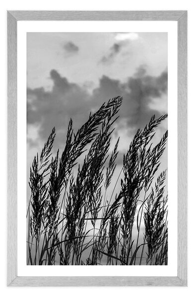 Poster cu passepartout iarbă în design alb-negru