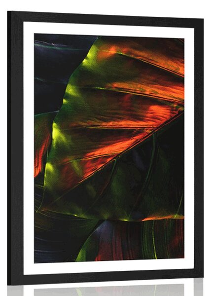 Poster cu passepartout frunze tropicale de palmier