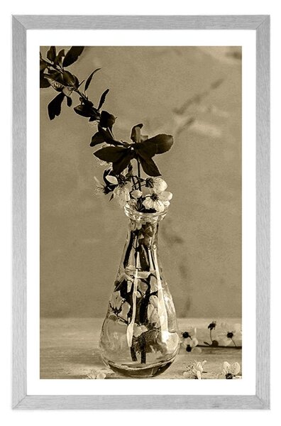 Poster cu passepartout crenguță de cireș într-o vază în design sepia