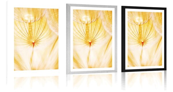 Poster cu passepartout păpădie în design galben
