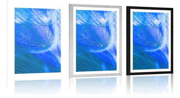 Poster cu passepartout păpădie frumoasă în design albastru