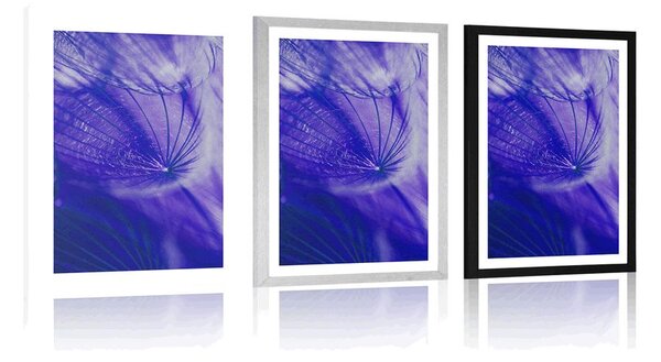 Poster cu passepartout păpădie frumoasă în design violet