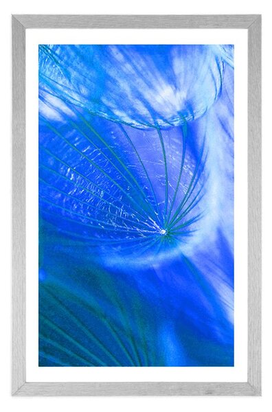 Poster cu passepartout păpădie frumoasă în design albastru