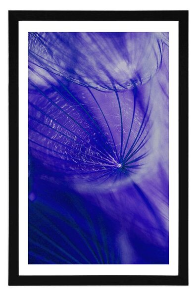 Poster cu passepartout păpădie frumoasă în design violet