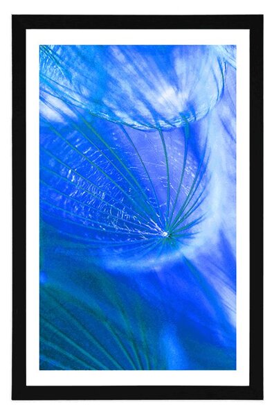 Poster cu passepartout păpădie frumoasă în design albastru