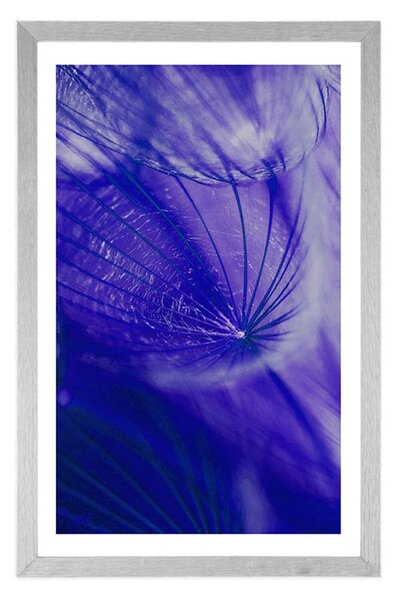 Poster cu passepartout păpădie frumoasă în design violet