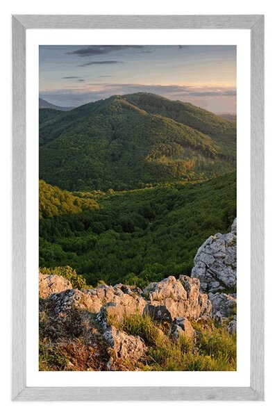 Poster cu passepartout natură scăldată de soare