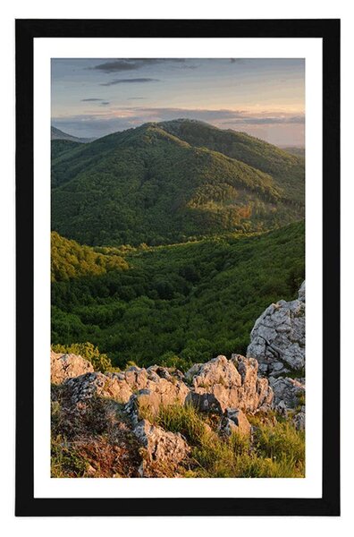 Poster cu passepartout natură scăldată de soare