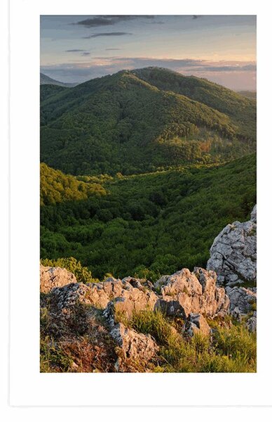Poster cu passepartout natură scăldată de soare