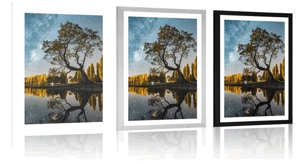 Poster cu passepartout copac sub cerul înstelat