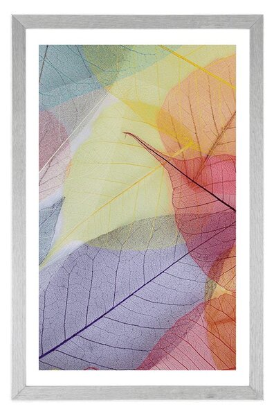 Poster cu passepartout vene pe frunze colorate