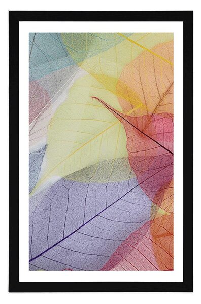 Poster cu passepartout vene pe frunze colorate