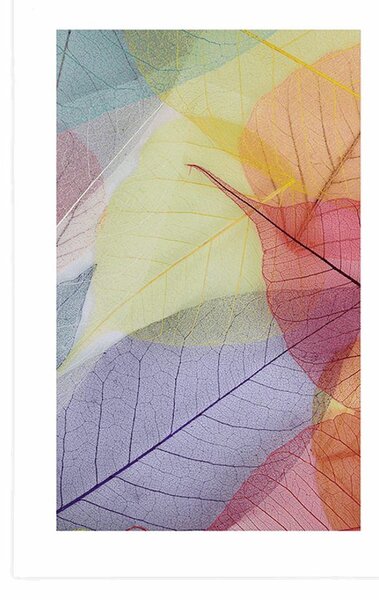 Poster cu passepartout vene pe frunze colorate