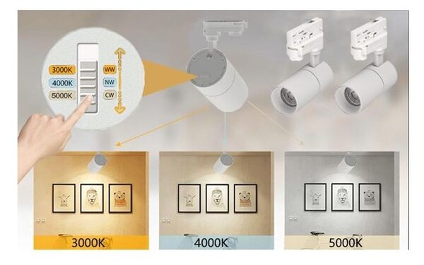 Reflector LED COB 10W, comutator lumina 3000K/4000K/6500K, luminozitate 800 lm