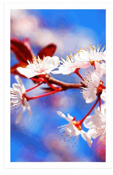 Poster floare de cireș