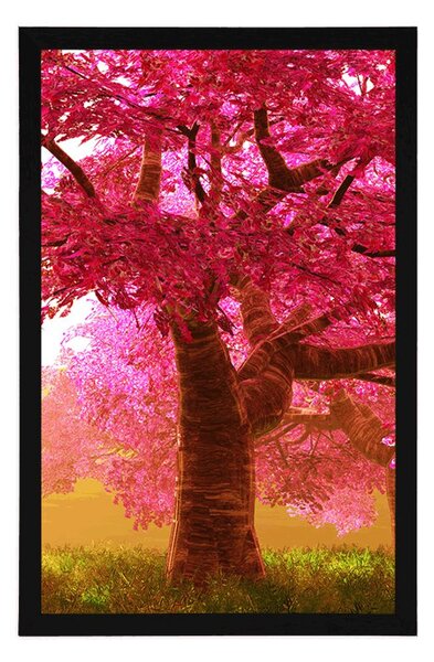 Poster copaci de cireși înfloriți