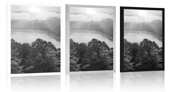 Poster râul în mijlocul pădurii în design alb-negru