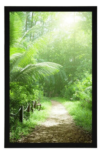 Poster drumuleț pe insula Seychelles