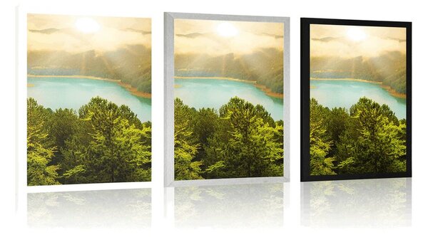 Poster râul în mijlocul unei păduri verzi