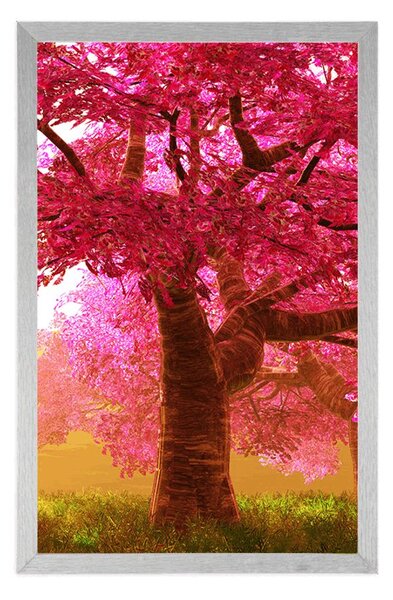 Poster copaci de cireși înfloriți
