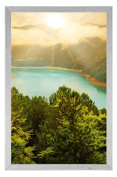 Poster râul în mijlocul unei păduri verzi