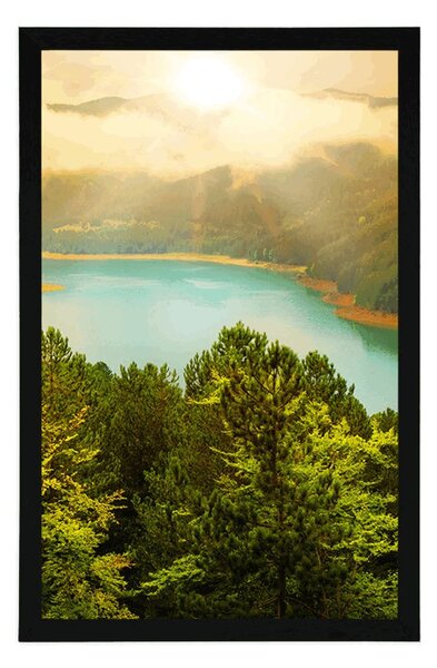 Poster râul în mijlocul unei păduri verzi