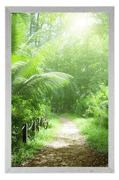 Poster drumuleț pe insula Seychelles