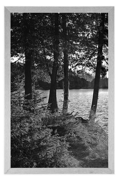 Poster vedere la lac în design alb-negru