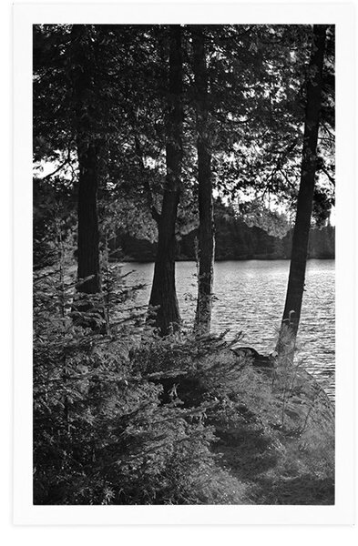 Poster vedere la lac în design alb-negru