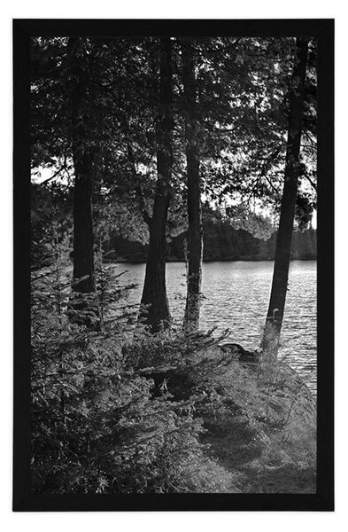 Poster vedere la lac în design alb-negru