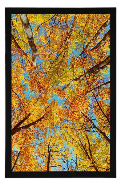 Poster coroane de copac de toamnă