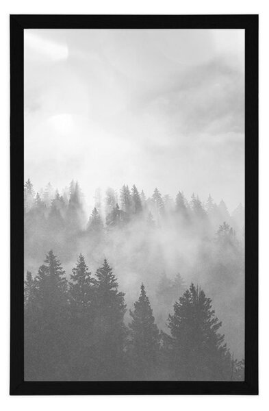 Poster ceață deasupra pădurii în design alb-negru
