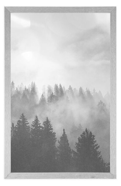 Poster ceață deasupra pădurii în design alb-negru