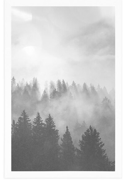 Poster ceață deasupra pădurii în design alb-negru