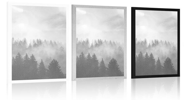 Poster ceață deasupra pădurii în design alb-negru