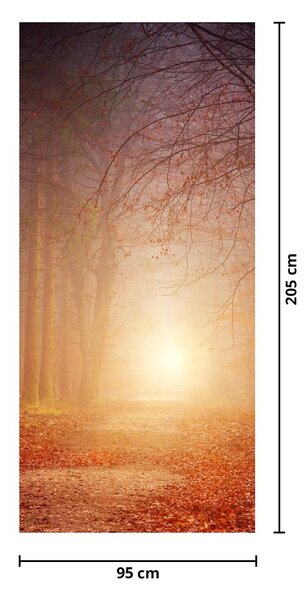 Fototapet pentru usă - Pădure în ceață toamna (95x205cm)