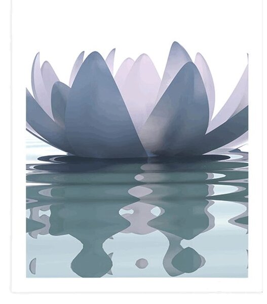 Poster floare de lotus