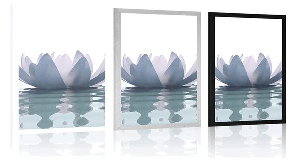 Poster floare de lotus