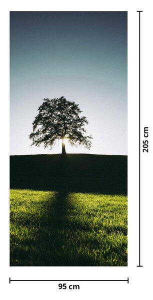 Fototapet pentru ușă - Copac (95x205cm)